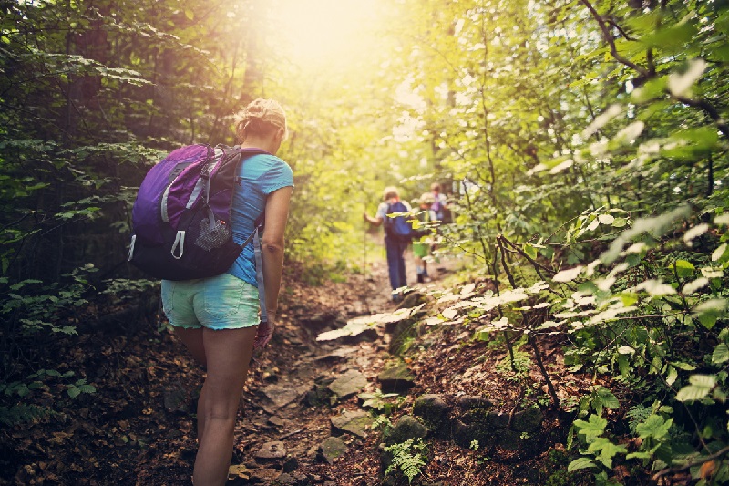 Young hikers with backpacks hiking on a forest path.